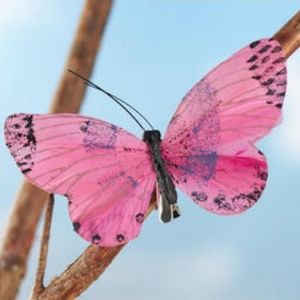 Meet your Posher, Ebony